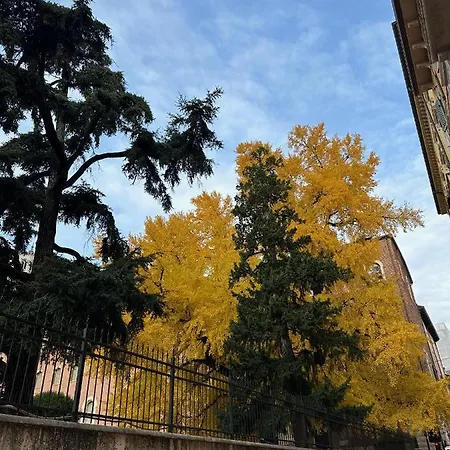 Domus Largo Pescheria Verona Buitenkant foto